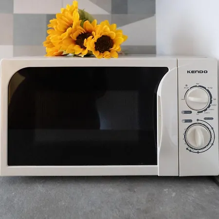 Girasole キオッジャ